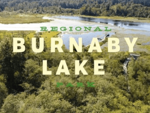 Banner of Burnaby Lake Regional Nature Park