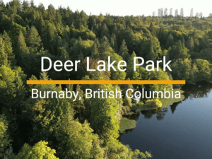 Banner of Deer Lake Park