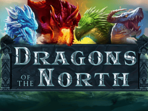 Banner of Dragons of the North