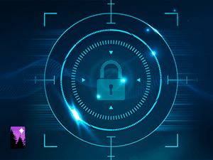 Banner of TSL and SSL Protocols
