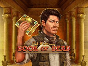 Banner of Book of Dead slot game