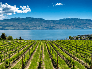 Beauty of Okanagan Valley & Kelowna