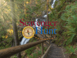 Banner of Scavenger Hunt - Amphibious Trail Vancouver