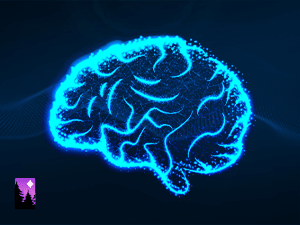 Banner of Behavioral Impact
