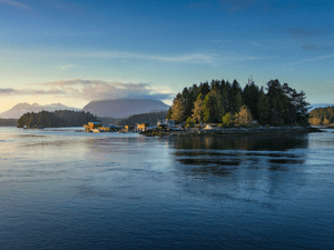 Beauty of Tofino