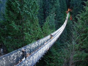 Banner of Vancouver Tour with Lookout & Capilano Bridge